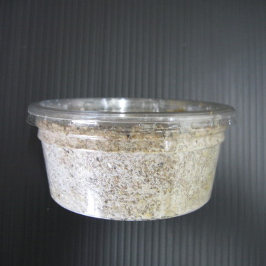 オオヒラタケ菌糸カップ ２００cc 微粒子タイプ