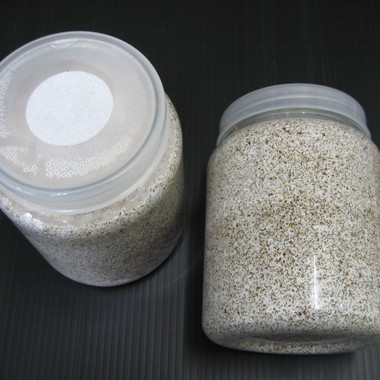 オオヒラタケ菌糸ボトル ８００cc （微粒子or粗め）